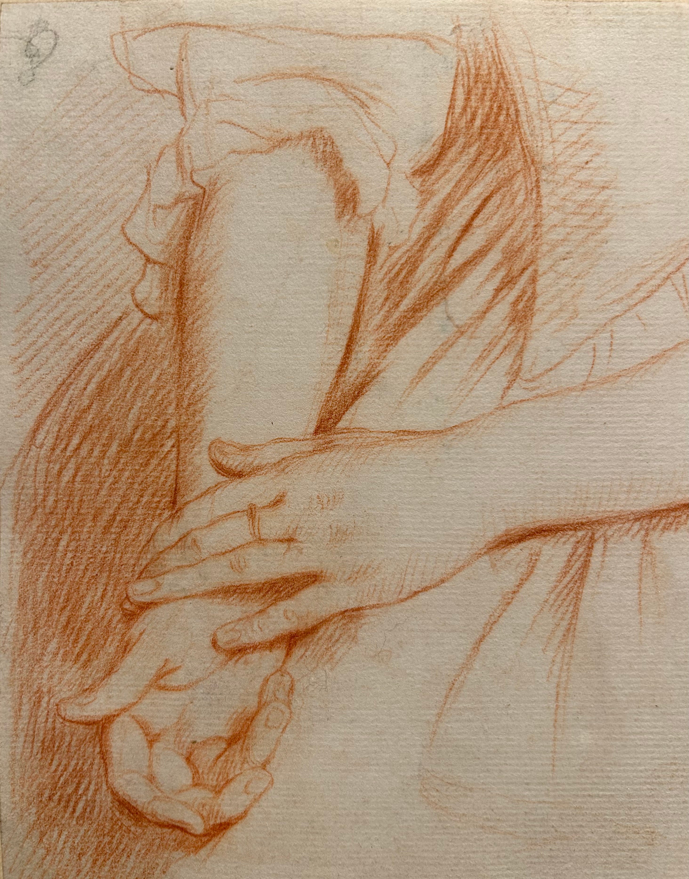 Study of Hands
