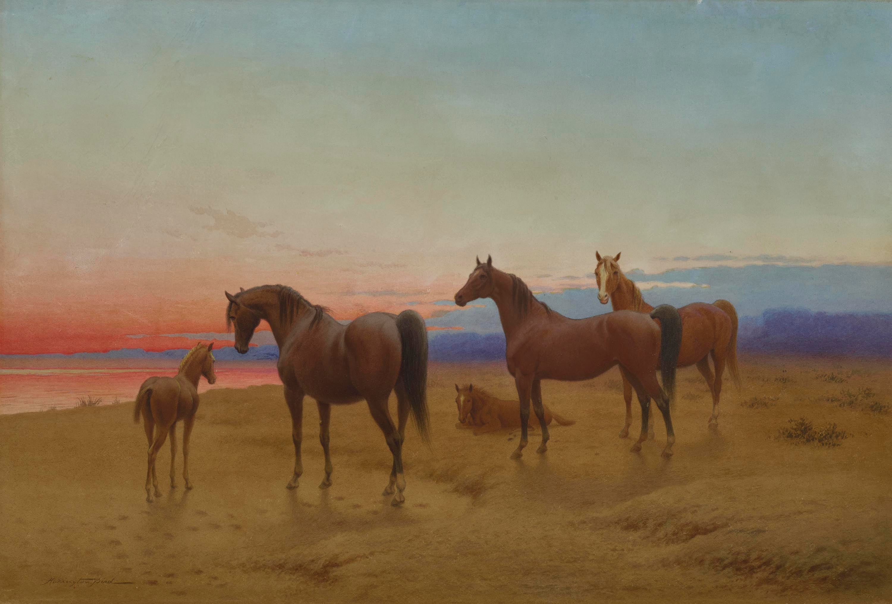 Arab Horses in Desert - John Alexander Harrington Bird, watercolour on paper, 19th century - Darnely Fine Art