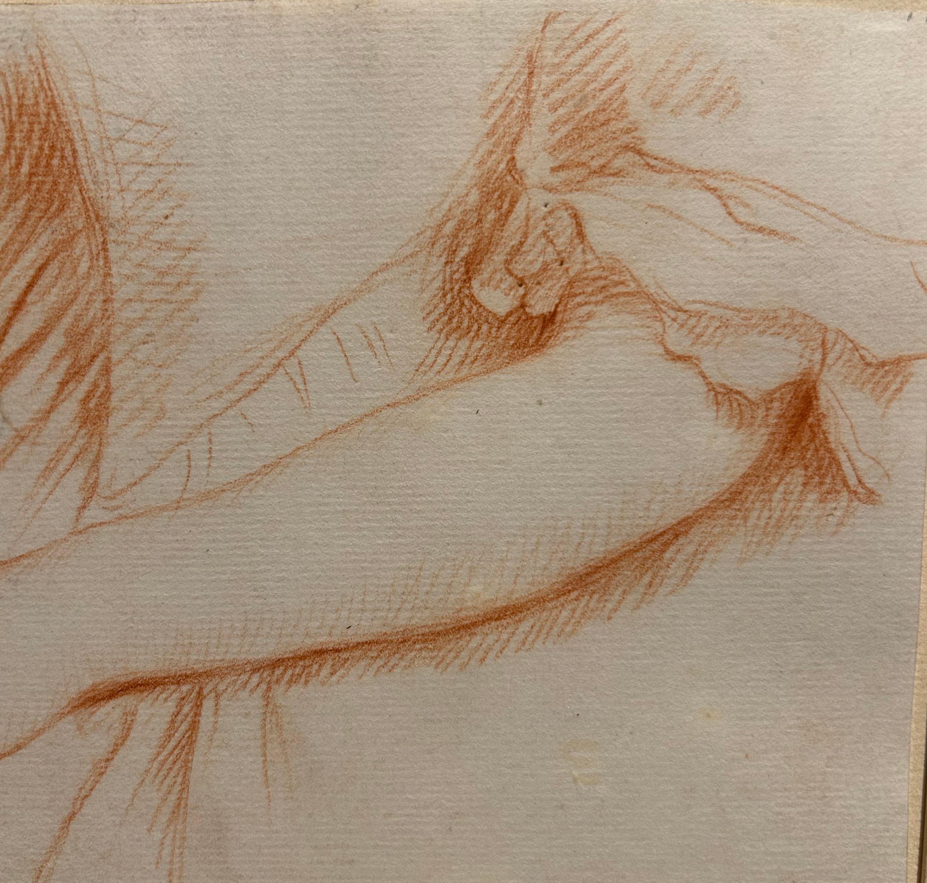 Study of Hands