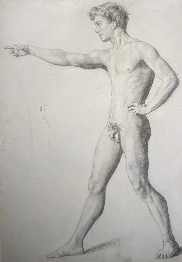 Leon Bellemont - Anatomy of Man, graphite on laid paper, late 19th/early 20th century - Darnley Fine Art
