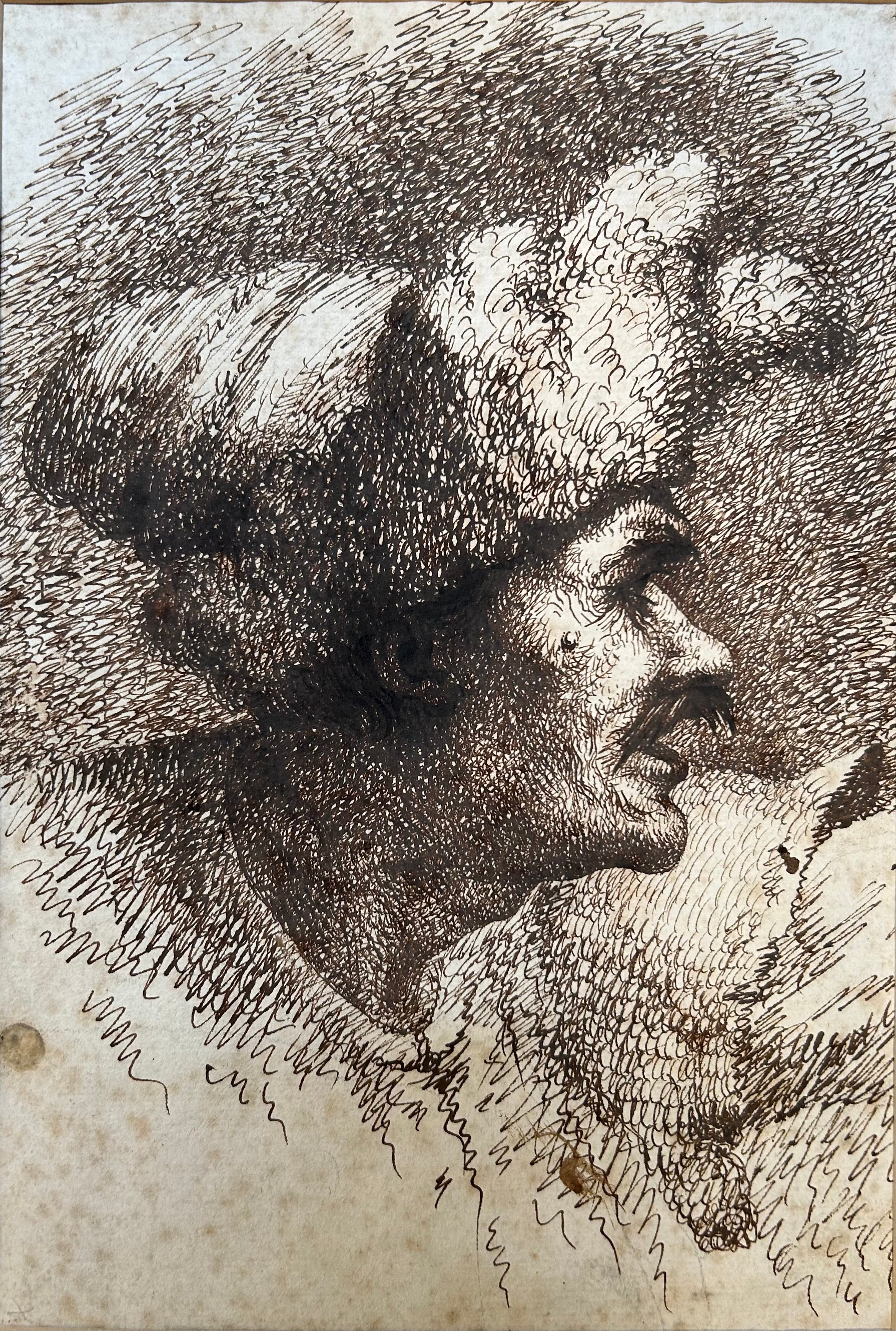 Circle of Giovanni Benedetto Castiglione - Sketch of a Man in Profile, ink on paper, 17th century - Darnley Fine Art