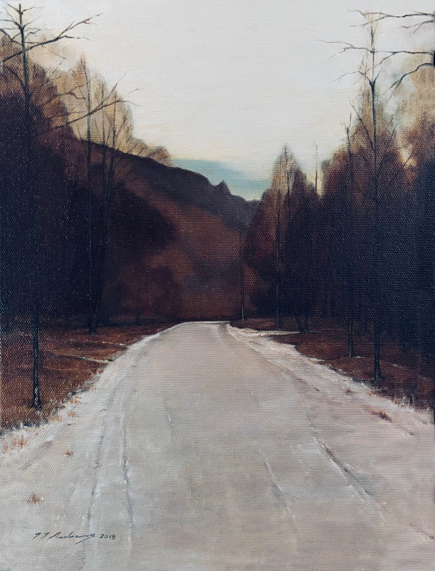 Hafren Forest