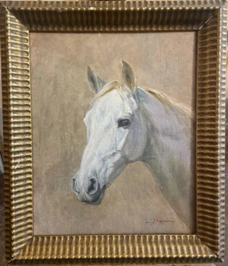 Head of an Arab Horse