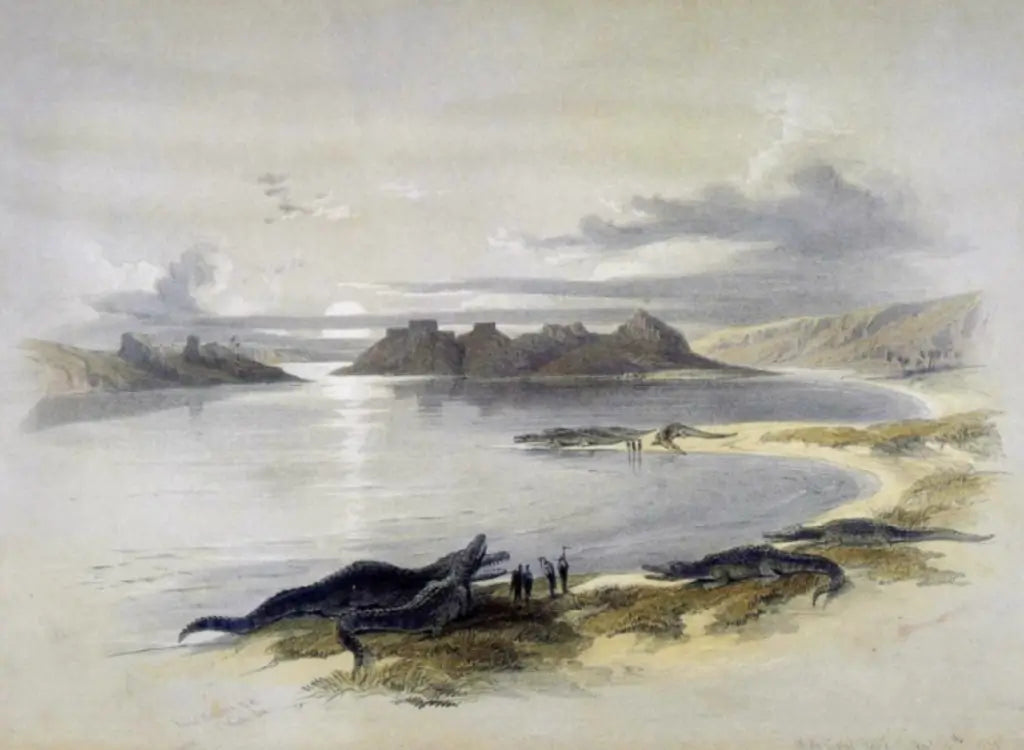 David Roberts - Nile, near Wade Dabod, with crocodiles, lithograph, 19th century - Darnley Fine Art