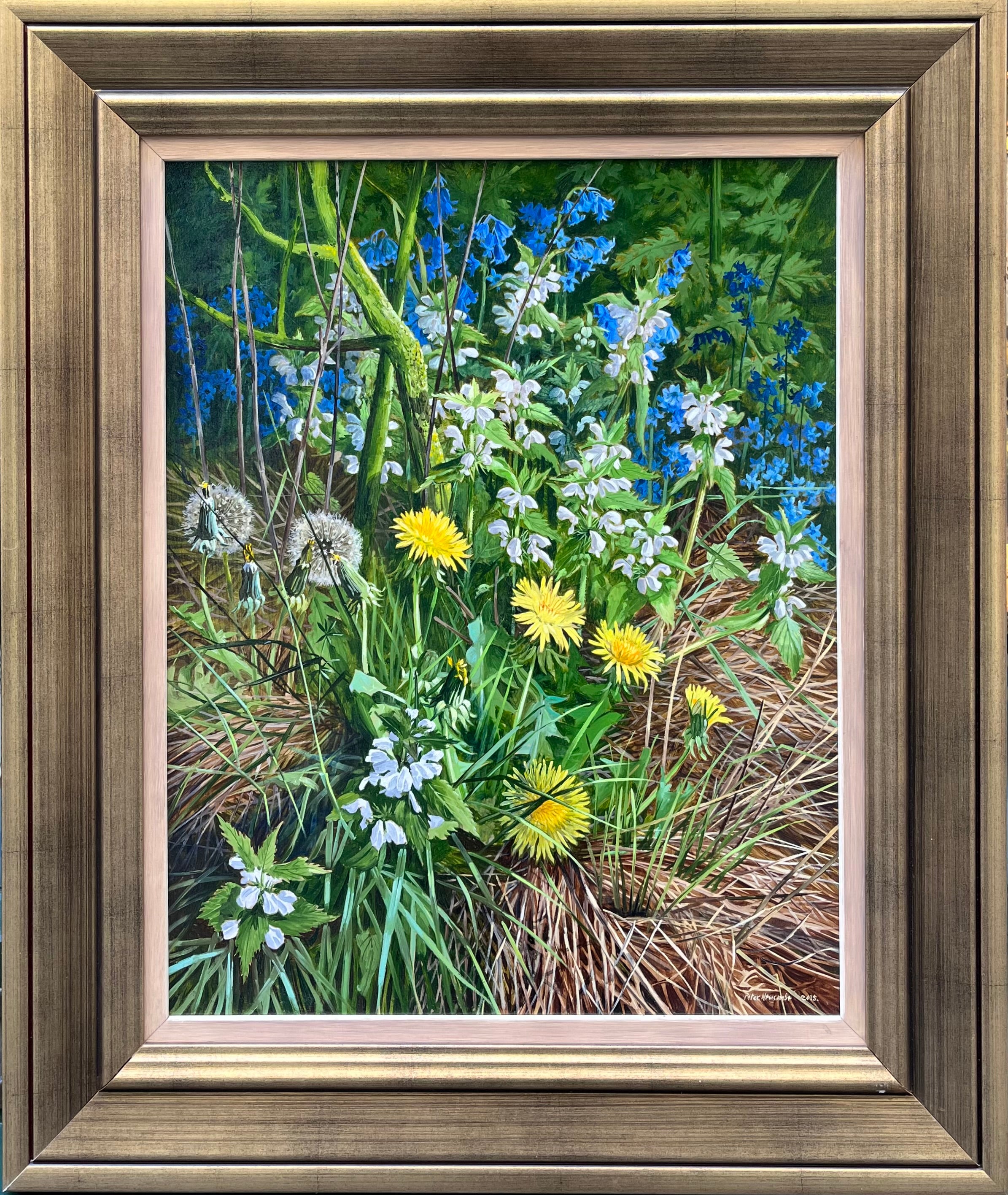 Peter Newcombe - Spring Hedgerows, oil on board, 21st century - Darnley Fine Art