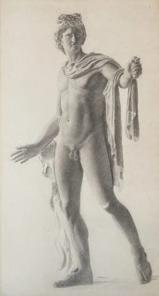 European School - Study of the Apollo Belvedere, graphite on paper, 19th century - Darnley Fine Art
