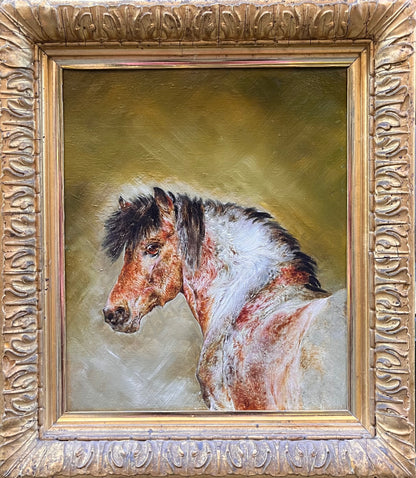 Study of a Pony