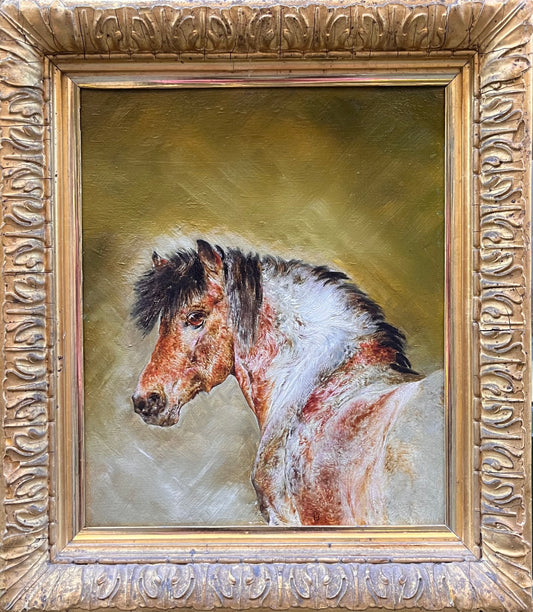 Study of a Pony