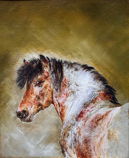 Study of a Pony