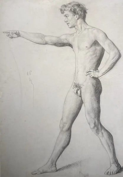 Leon Bellemont - Anatomy of Man, graphite on laid paper, late 19th/early 20th century - Darnley Fine Art