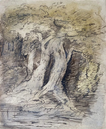 Samuel Palmer - Ancient Oak Trees in Lullingstone Park, watercolour, pen and ink on paper, 19th century - Darnley Fine Art