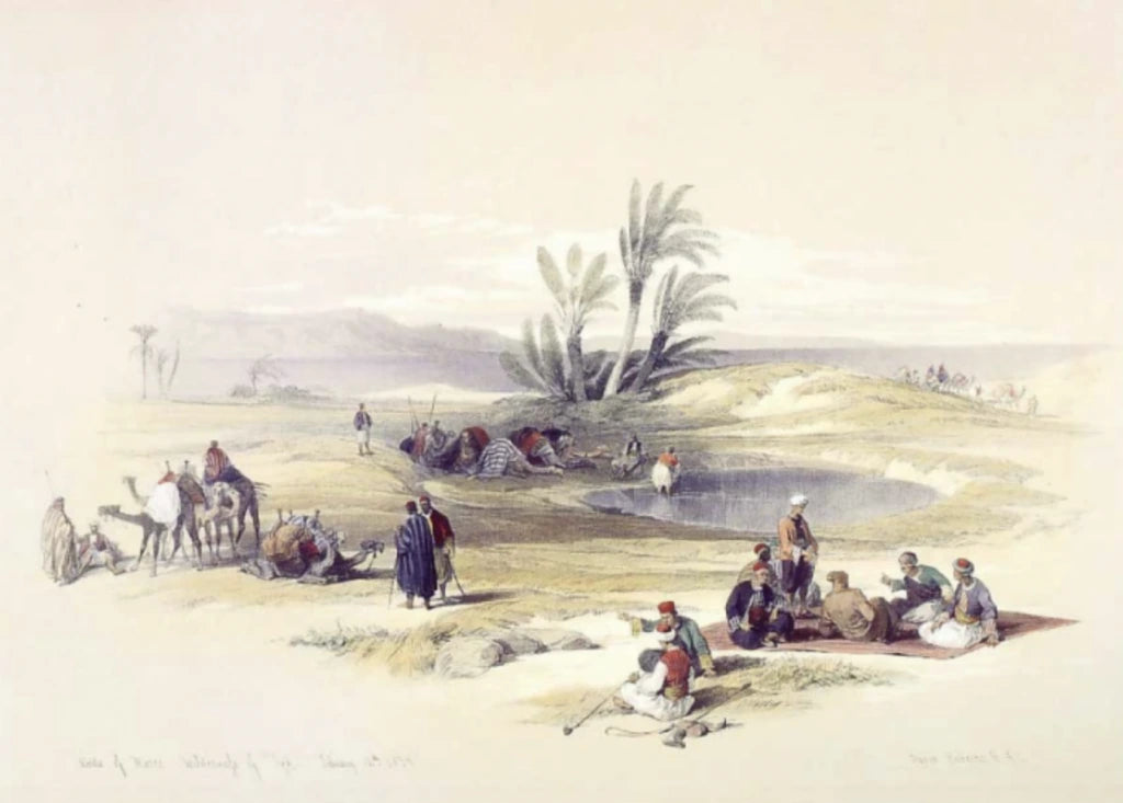 David Roberts - Ayun Musa, the Well of Moses, Wilderness of TRH, lithograph, 19th century - Darnley Fine Art