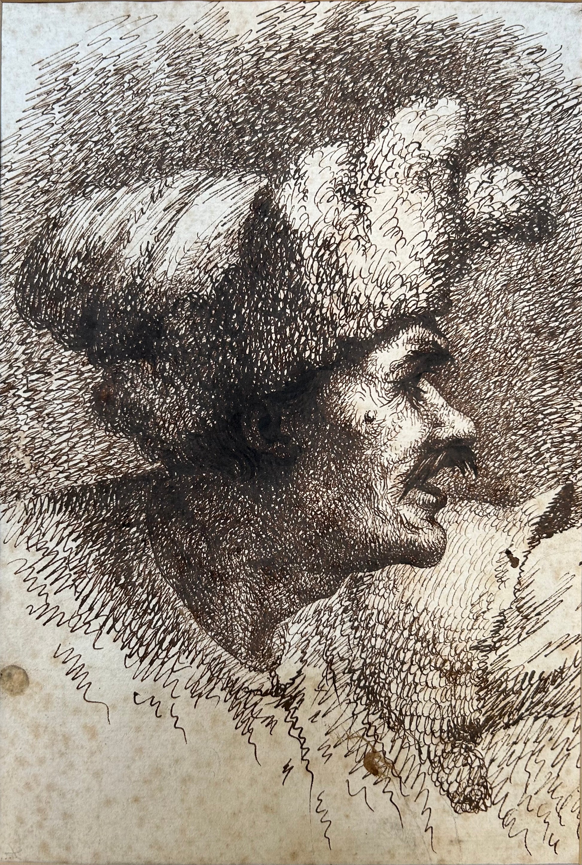 Circle of Giovanni Benedetto Castiglione - Sketch of a Man in Profile, ink on paper, 17th century - Darnley Fine Art