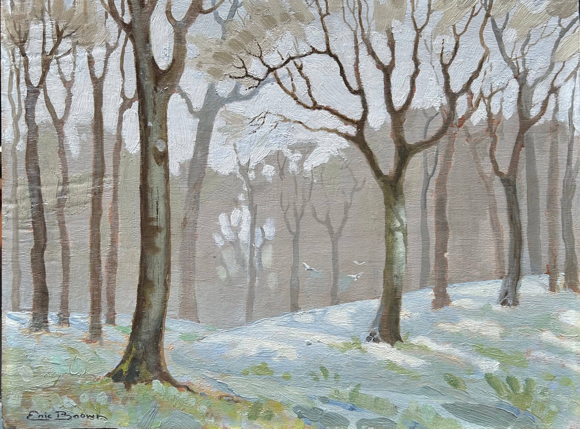 Eric Brown - Woodland Scene, oil on board, 20th century - Darnley Fine Art