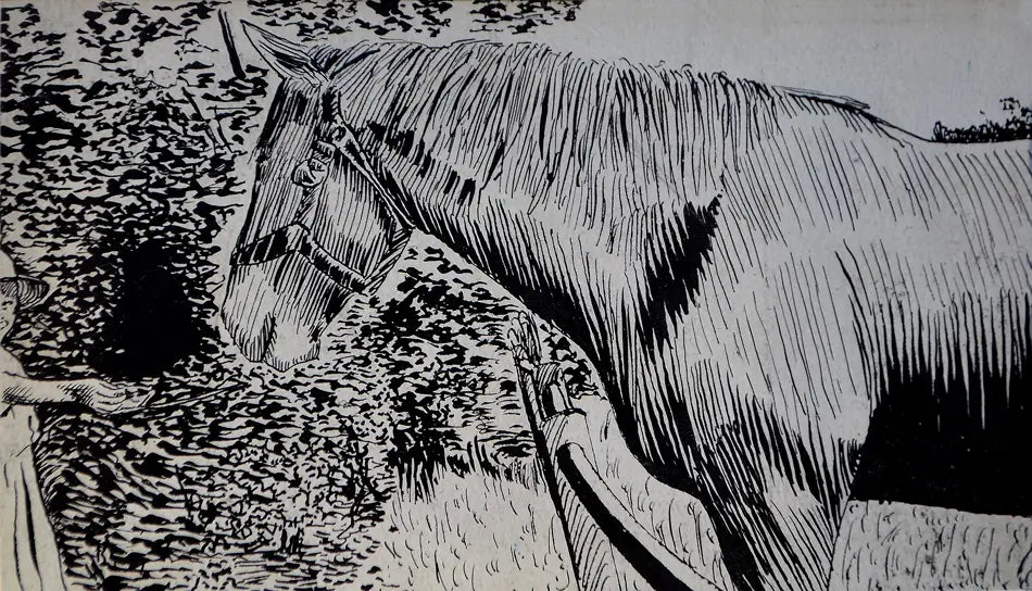 Charles Inder - Girl Feeding Horse, ink on paper, 20th century - Darnley Fine Art