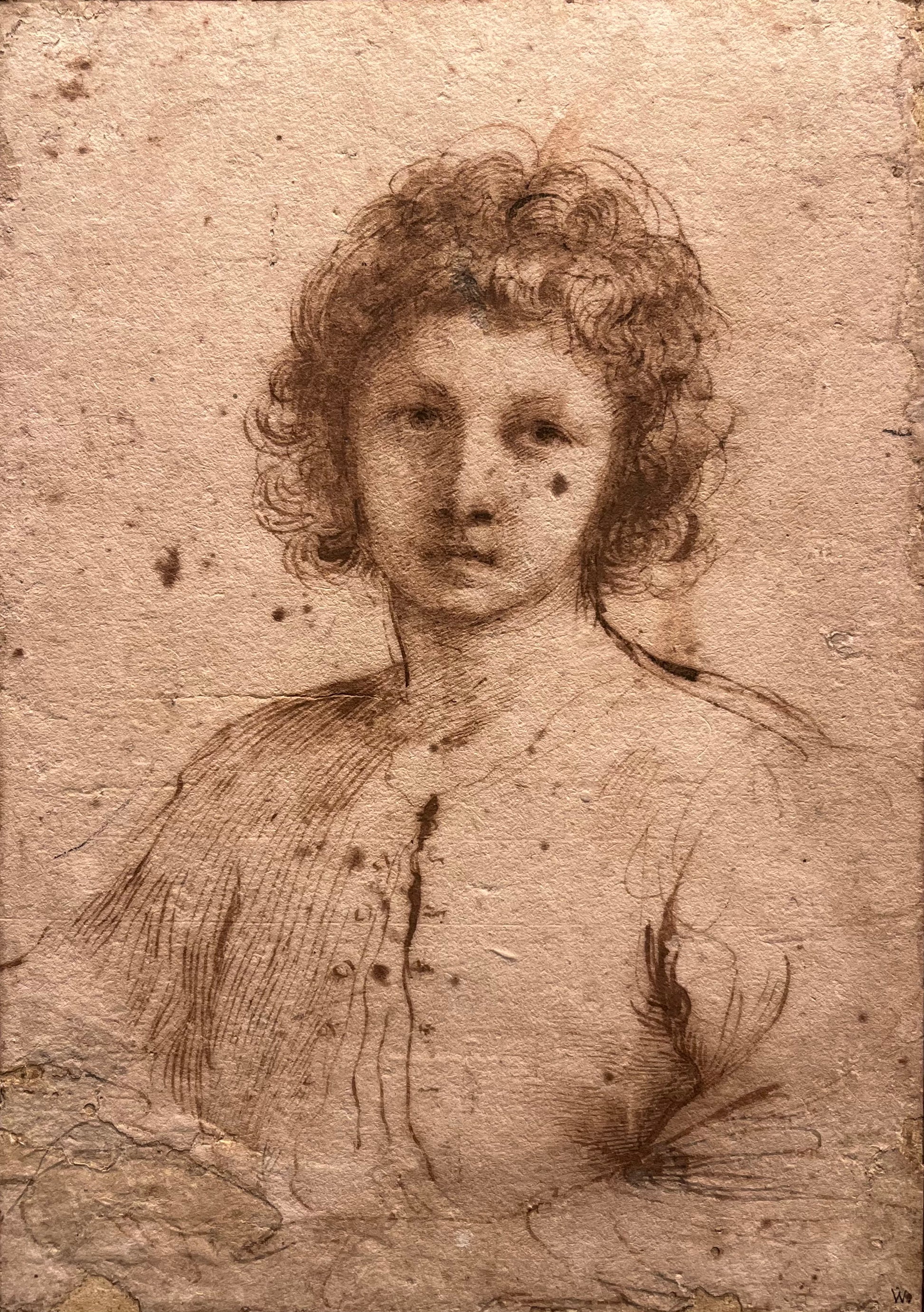 Giovanni Francesco Barbieri Guercino - Half-length Study of a Youth, pen and brown ink on paper, 17th century - Darnley Fine Art