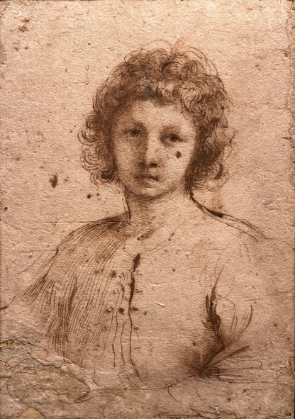Giovanni Francesco Barbieri Guercino - Half-length Study of a Youth, pen and brown ink on paper, 17th century - Darnley Fine Art