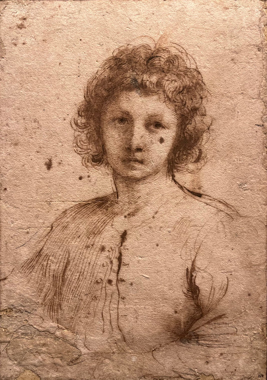 Giovanni Francesco Barbieri Guercino - Half-length Study of a Youth, pen and brown ink on paper, 17th century - Darnley Fine Art