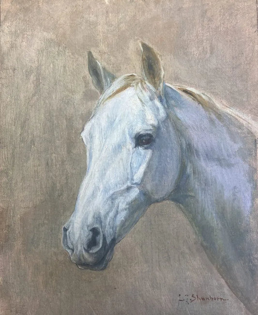 Head of an Arab Horse