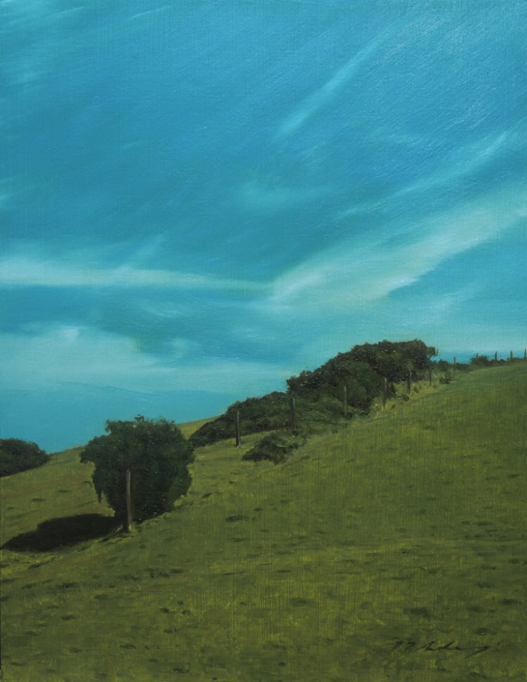 Jeremy Andrews - Welsh Fields, oil on board, 21st century - Darnley Fine Art