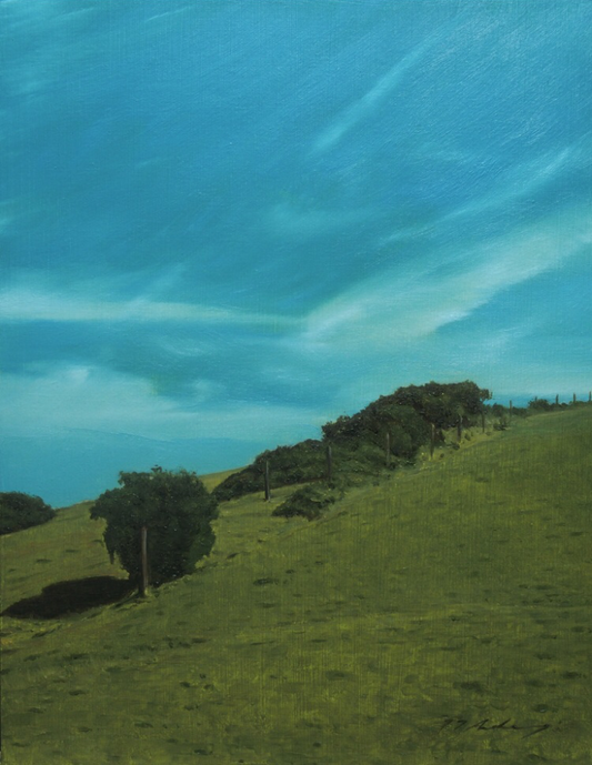 Jeremy Andrews - Welsh Fields, oil on board, 21st century - Darnley Fine Art