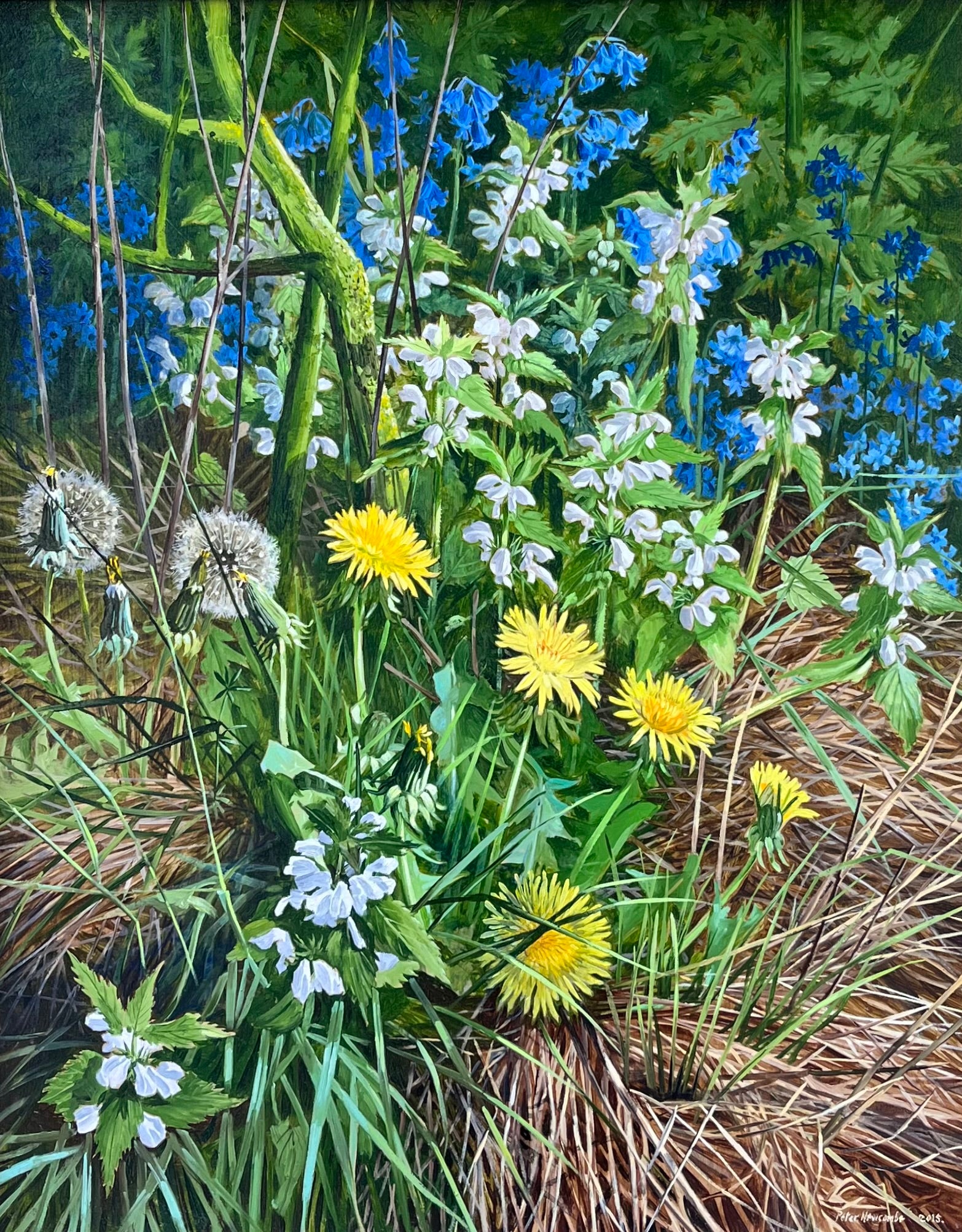 Peter Newcombe - Spring Hedgerows, oil on board, 21st century - Darnley Fine Art