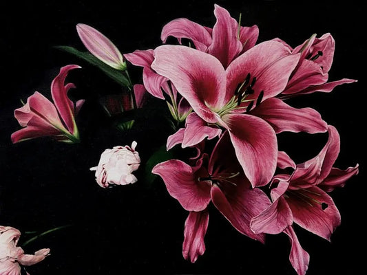 Study of Pink Lily and Peony