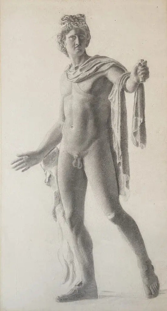 European School - Study of the Apollo Belvedere, graphite on paper, 19th century - Darnley Fine Art